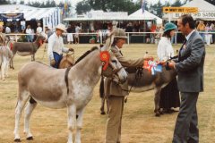 Grafton-Dominic-1992-Royal-Norfolk